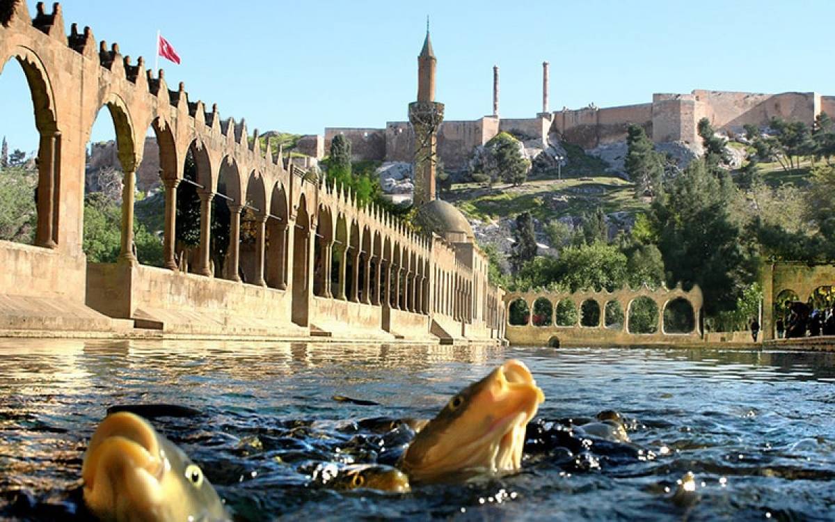 BALIKLI GÖL / URFA