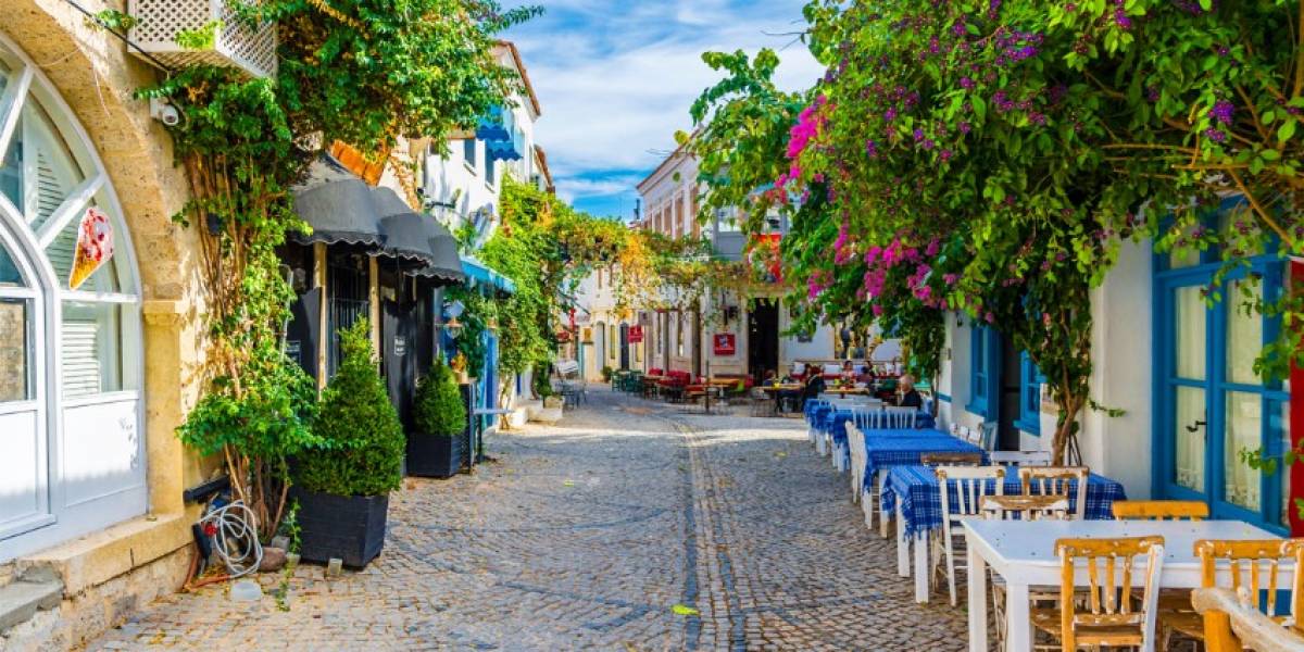 AYVALIK TURU - Resim #1